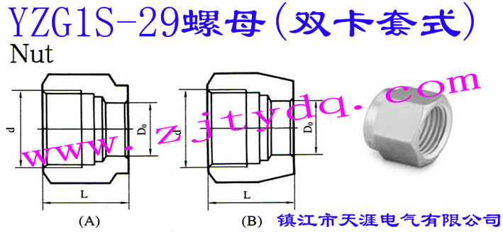 YZG1S-29ĸ(pʽ)Nut